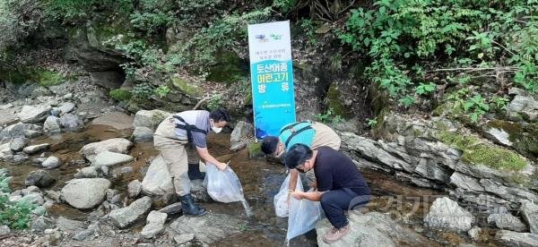 [크기변환]추가 지역 01- 금사면 주록리 계곡 토산어종 어린고기 2만여 마리 방류 (2).jpg