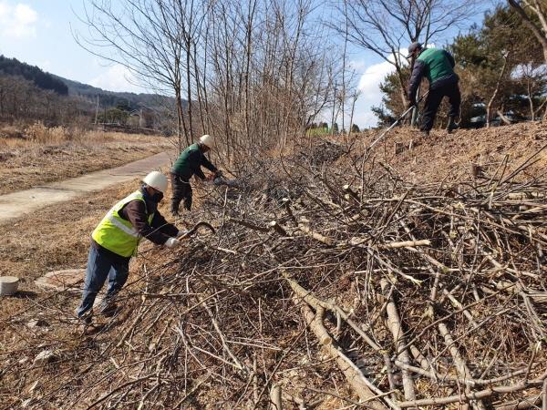 [크기변환]사본 -6. (1) 처인구 경안천 남리대교_국사봉교 5.5km 구간 가로환경 정비 모습.jpg