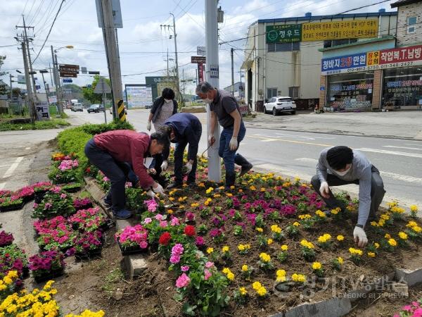 [크기변환]사본 -광주시 도척면, 화사한 봄꽃을 입다 (2).jpg