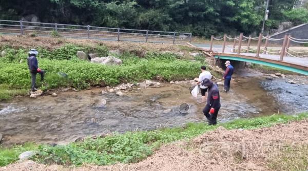 [크기변환]220905_이상일 용인특례시장, 성복천 수질오염에 즉각 회복 조치했다_사진(1) 해당 시공사 관계자들이 물고기 사체와 돌가루를 치우고 있다.JPG