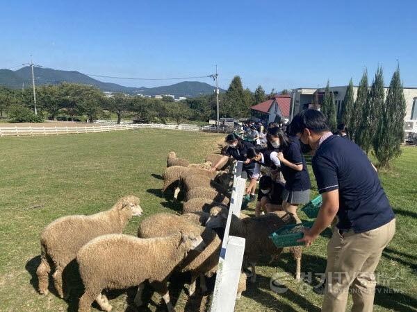 [크기변환]제65회 4-H 연합회 경진대회 및 야외교육 모습 (2).jpg