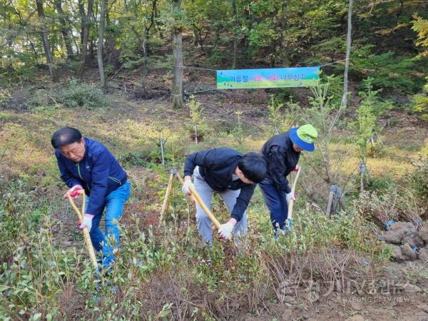 [크기변환]13-1. 용인특례시는 특례시 승격 원년을 기념해 용인자연휴양림 내에 시목 전나무와 시화 철쭉을 식재했다.JPG