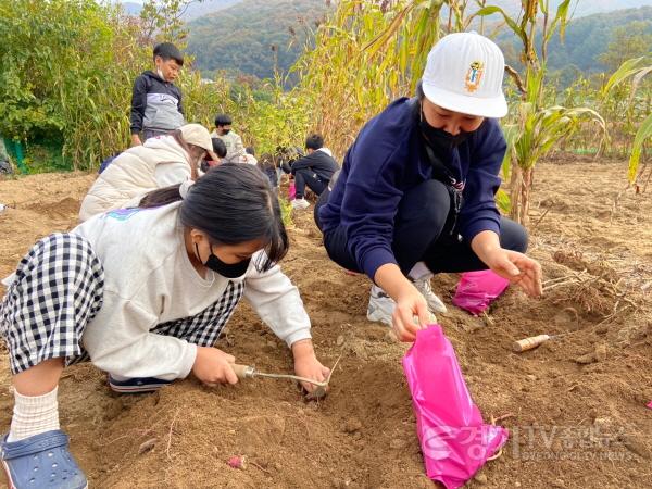 [크기변환]추가1. 드림스타트 시골마을체험 프로그램1(고구마수확체험).jpg