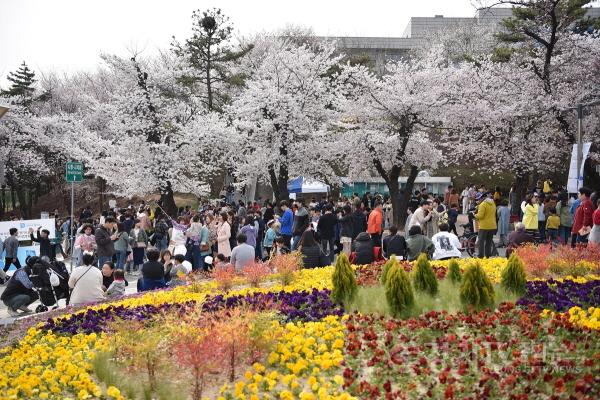 [크기변환]사본 -(참고사진)2019년 봄꽃축제.jpg