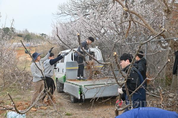 [크기변환]사본 -(보도사진) 화성드림파크 매화둘레길 조성1.jpg