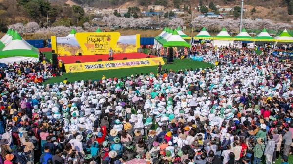 [크기변환]사본 -01 양평산수유한우축제(1).jpg