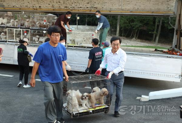 [크기변환]화성 강아지 번식장 학대동물 반려마루 이송(1).jpg