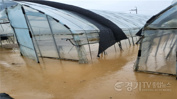 [크기변환]5. 용인특례시가 내년부터 처인구 모현읍 일산지구 자연재해위험 개선 정비사업을 진행한다. 사진은 집중호우로 일산지구 시설하우스가 침수된 모습..png