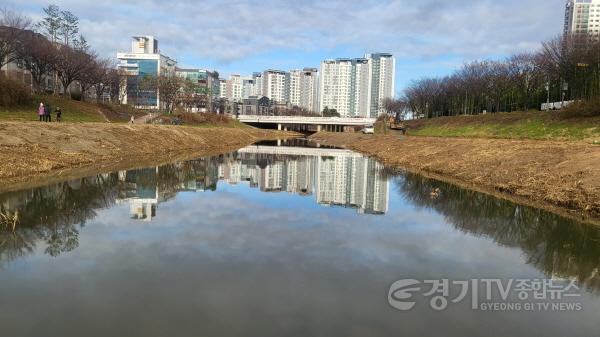 [크기변환]사본 -7-2 평택시 집중호우 대비 하천 수목 및 준설토 제거.jpg