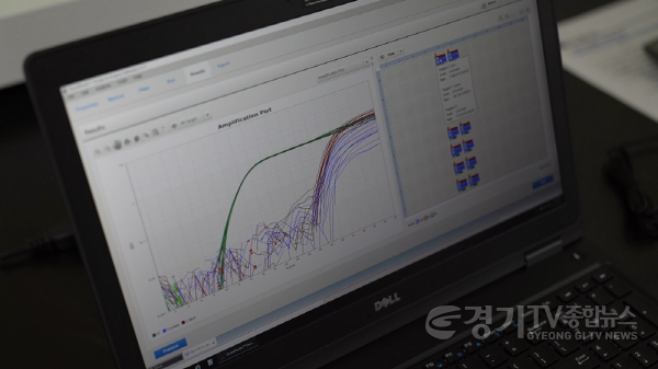 [크기변환]PCR진단+그래프.jpg