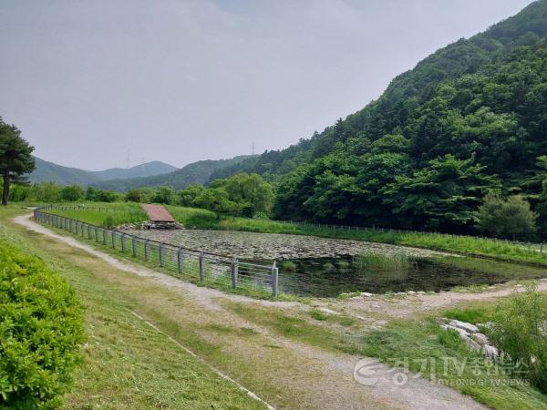 [크기변환]1. 용인특례시가 길업습지에 반딧불이 서식처 복원을 위한 식생환경 조사를 벌인다.jpeg