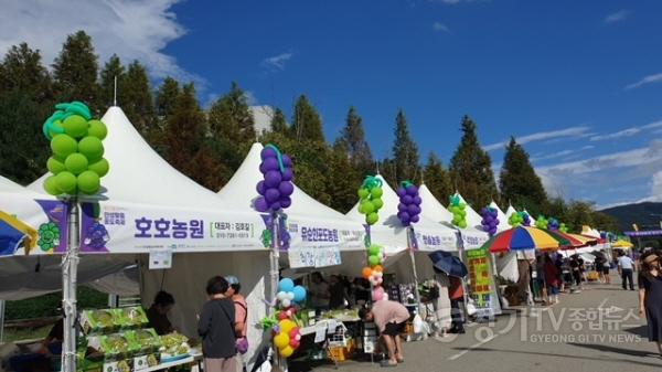 [크기변환]2. 제17회 안성맞춤포도축제 성료.JPG