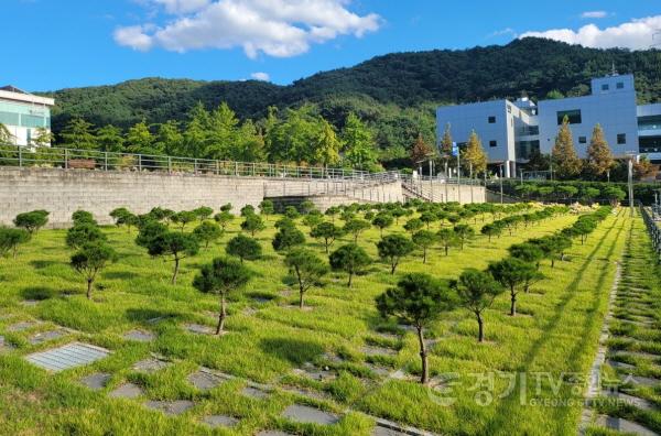 [크기변환]사진자료(용인 평온의 숲, 수목장 4위형 10월 1일부터 확대·운영 개시).jpg