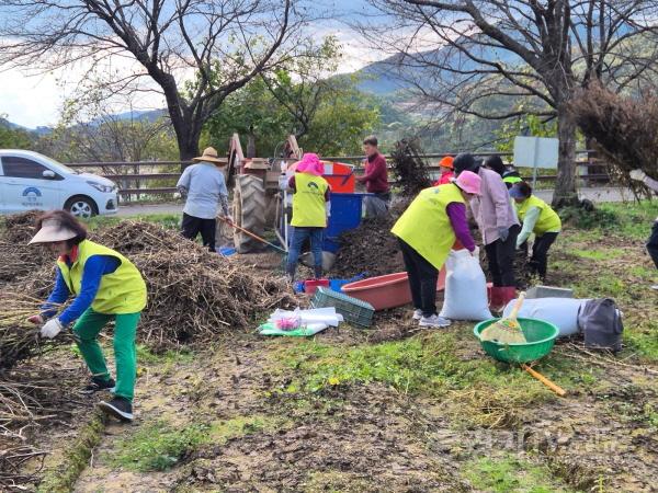 [크기변환]03 들깨수확(개군) (2).jpg