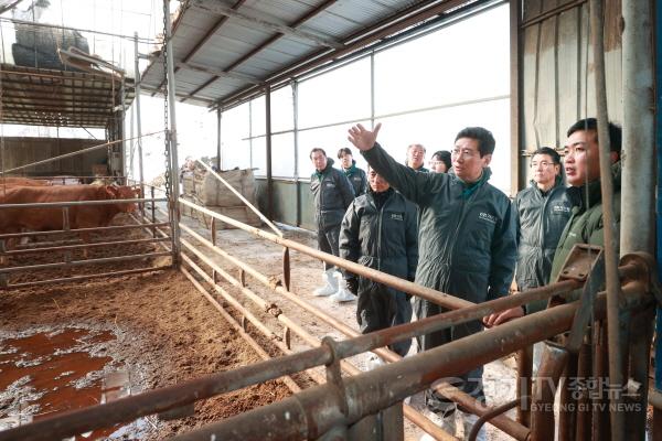 [크기변환]3 이상일 용인특례시장이 3일 폭설피해 농가를 방문해 피해 상황을 살피고 농장주를 위로하고 있다.jpg