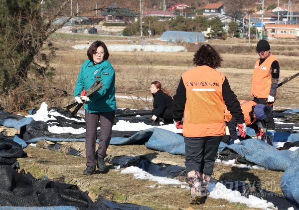 [크기변환]김보라 안성시장, 폭설 피해 농가 방문 (4).JPG