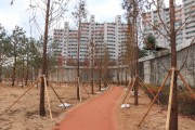 [용인시]  경안천 도시숲 2만 2,206㎥ 1단계 조성 완료  -경기티비종합뉴스