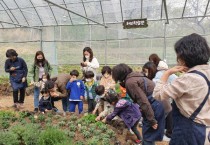 [광주시]  도시농업 상설 체험전시과 개관   -경기티비종합뉴스-