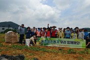 용인시, 농업기술센터 직원들 일손 부족 농가 감자 수확 도와  -경기티비종합뉴스-
