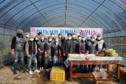 용인시, 청년 농업인 20명이 무료 급식 시설에 김치 기탁  -경기티비종합뉴스-