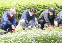 [용인시]  "꽃내음 가득한 우리동네 공원으로 놀러오세요"   -경기티비종합뉴스-