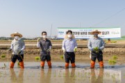 [경기도]  토종자원 중요성 홍보 위해 ‘토종 벼 모내기’ 시연   -경기티비종합뉴스-