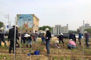 용인시, 도시농업 전문가 육성하는 '도시농업관리사' 교육생 15명 모집   -경기티비종합뉴스-