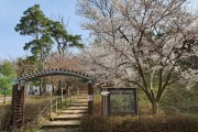 [용인시]   기흥구 농서근린공원 산책로 정비 나선다   -경기티비종합뉴스-