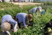 [용인시]  치매 어르신 위한 농림 치유프로그램 운영    -경기티비종합뉴스-