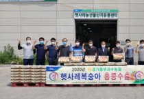 이천 지역 대표 농산물 ‘햇사레 복숭아’ 올해 첫 수출   -경기티비종합뉴스-