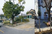 [용인시]  보라동, 느티나무 보호수 주민 쉼터로 새단장  -경기티비종합뉴스-