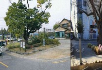 [용인시]  보라동, 느티나무 보호수 주민 쉼터로 새단장  -경기티비종합뉴스-