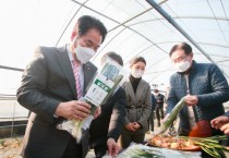 [용인시]  전국 최초 친환경농법 재배 ‘양대파’ 출하   -경기티비종합뉴스-