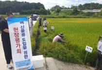 [여주시]   벼 신품종 도입을 위한 현장평가회 개최   -경기티비종합뉴스-