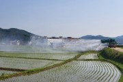 광주시, 무농약 쌀 생산단지 친환경 1차 광역방제 추진   -경기티비종합뉴스-