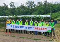 [경기농협]   함께나눔봉사단 안양시 관내 포도 농가 일손돕기 실시   -경기티비종합뉴스-