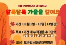 [안성시보건소]  11월 걷기 챌린지 ‘알록달록 가을을 걸어요’ 진행   -경기티비종합뉴스-