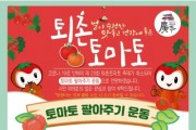 [광주시]  퇴촌면, 토마토 팔아주기 운동 추진   -경기티비종합뉴스-