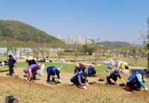 화성시, “시민과 함께 심은 꽃밭 보러오세요”   -경기티비종합뉴스-