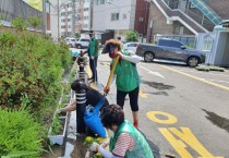 [평택시]   송북동 여름, 꽃으로 설레다   -경기티비종합뉴스-