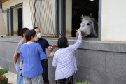 [화성시]   장애인 승마교실 개강    -경기티비종합뉴스-