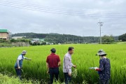 [용인특례시]   고품질 백옥쌀 생산 위한 재배지 심사 시작   -경기티비종합뉴스-