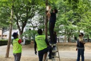 오산 궐동행복마을관리소, 도시 숲에 인공새집 20개 설치    -경기티비종합뉴스-