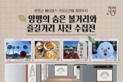 [경기티비종합뉴스] 양평군의 생활 속 사진을 수집합니다!