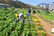 [경기티비종합뉴스] 용인특례시, 시민농장에서 텃밭 가꿀 도시농부 794팀 모집