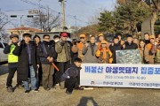 [경기티비종합뉴스] 안성시, 비봉산 야생멧돼지 포획활동 실시