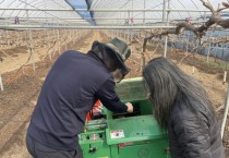 [안성시]  과원 전지목, 고춧대, 깻대 태우지 말고 파쇄하세요!   -경기티비종합뉴스-