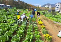 [용인특례시]  시민농장 텃밭 분양에 2천여명 몰려 성황   -경기티비종합뉴스-