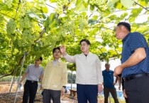 [경기도]  오병권 부지사, 안산 포도 농가 찾아 폭염 대응 상황 점검   -경기티비종합뉴스-