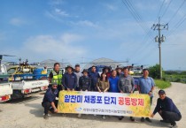 이천쌀 우량 종자 생산을 위한 추가 방제 실시   -경기티비종합뉴스-